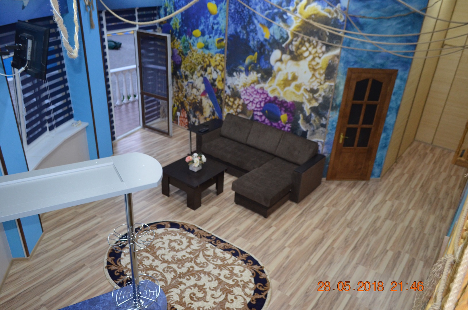 Фото Дельфин