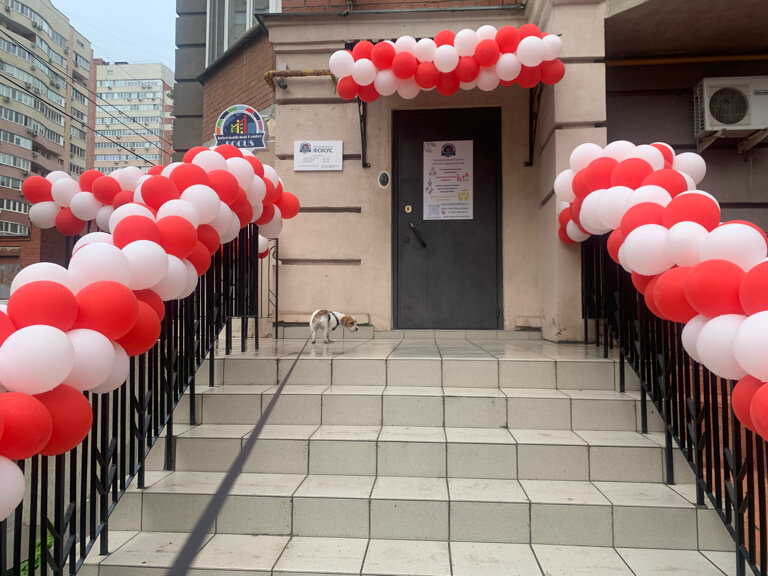 Foreign language courses Focus, Samara, photo