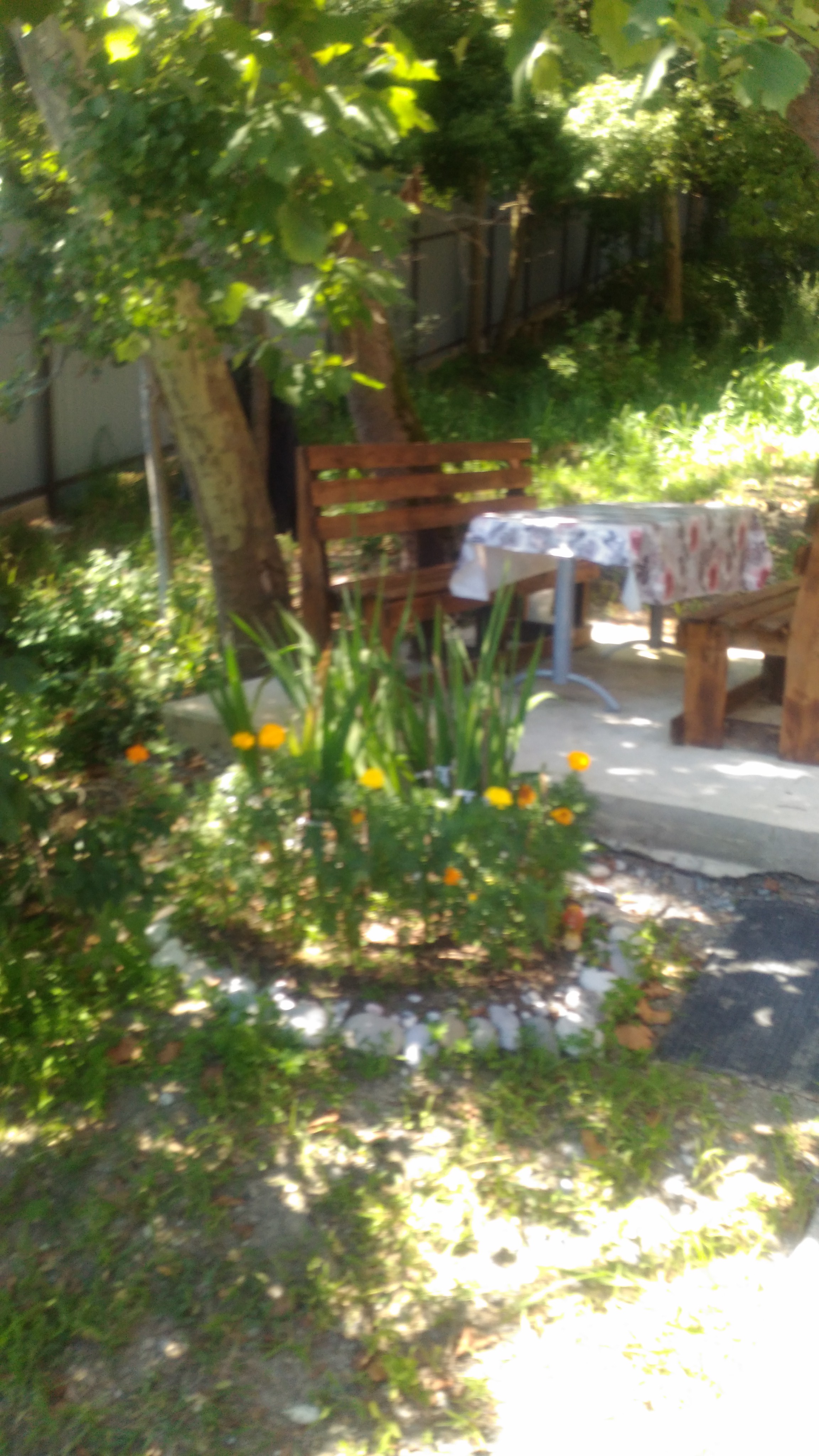 Фото Томичка