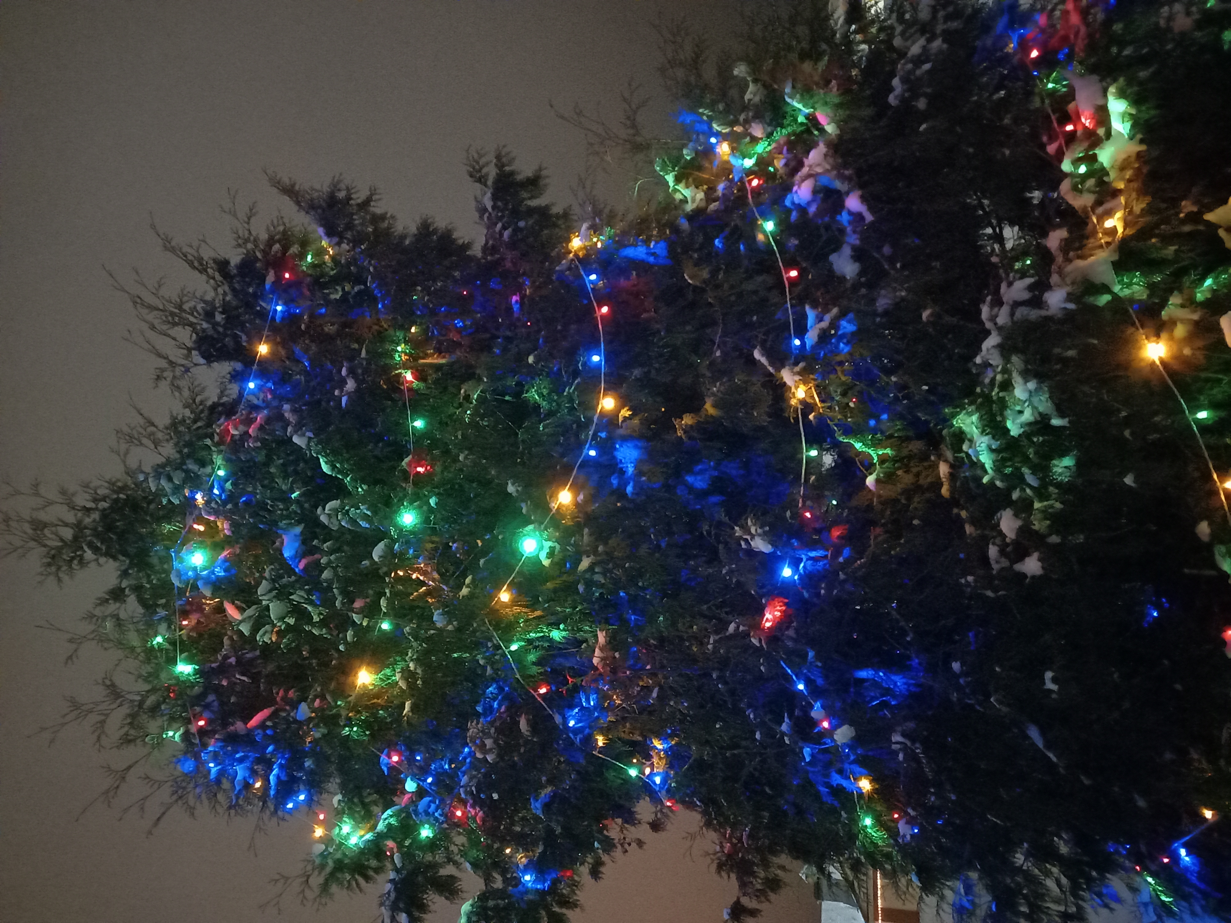 Фото В Центральном парке