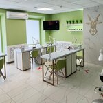 Koza (Gagarina Avenue, 21), nail salon