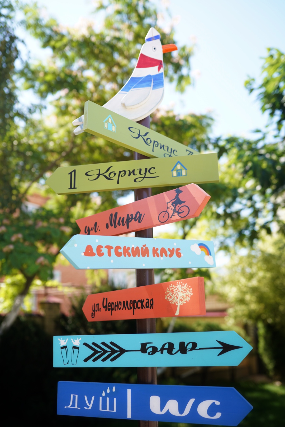 Фото Тихий Берег