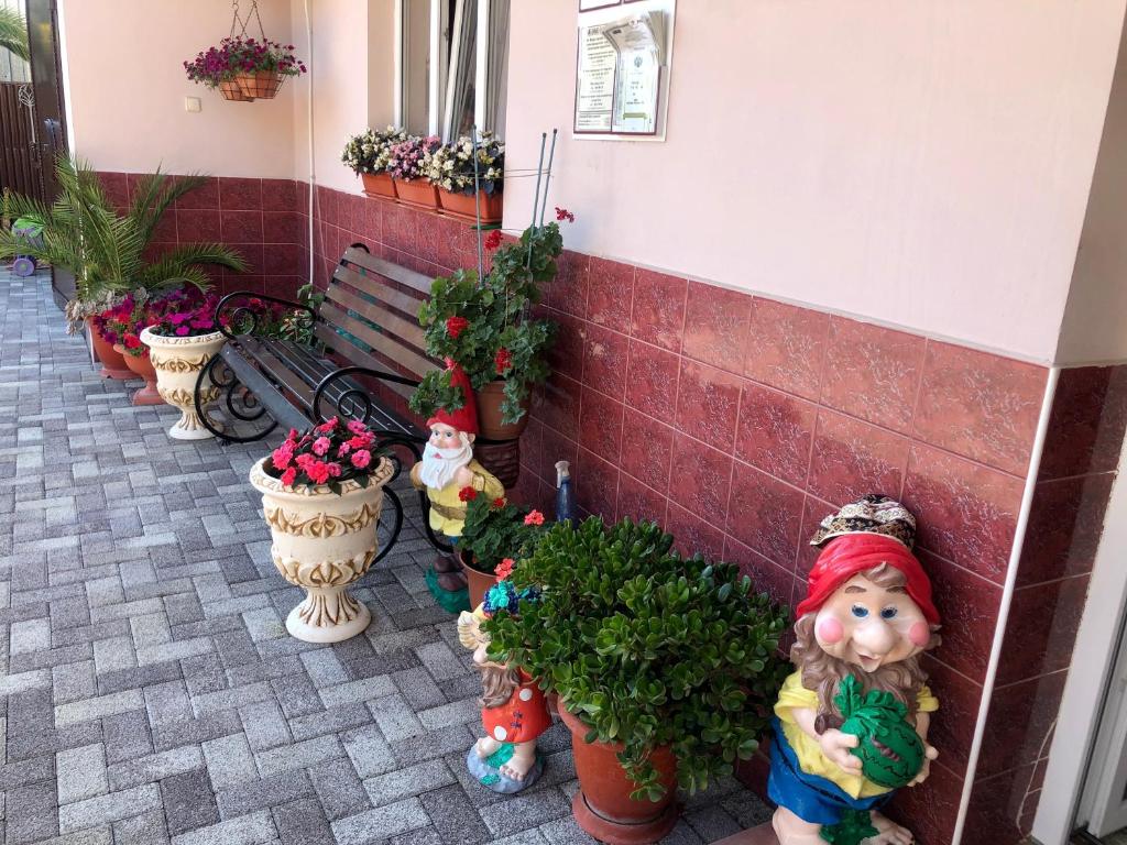 Фото Арарат