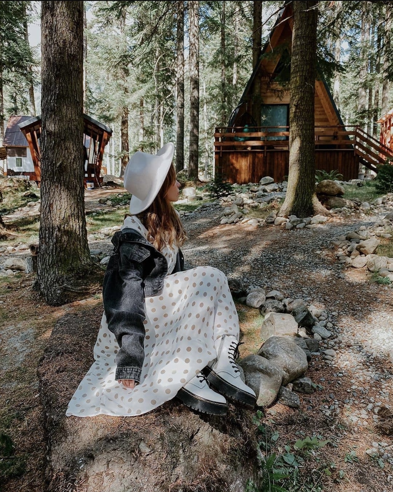 Фото Ёлки House