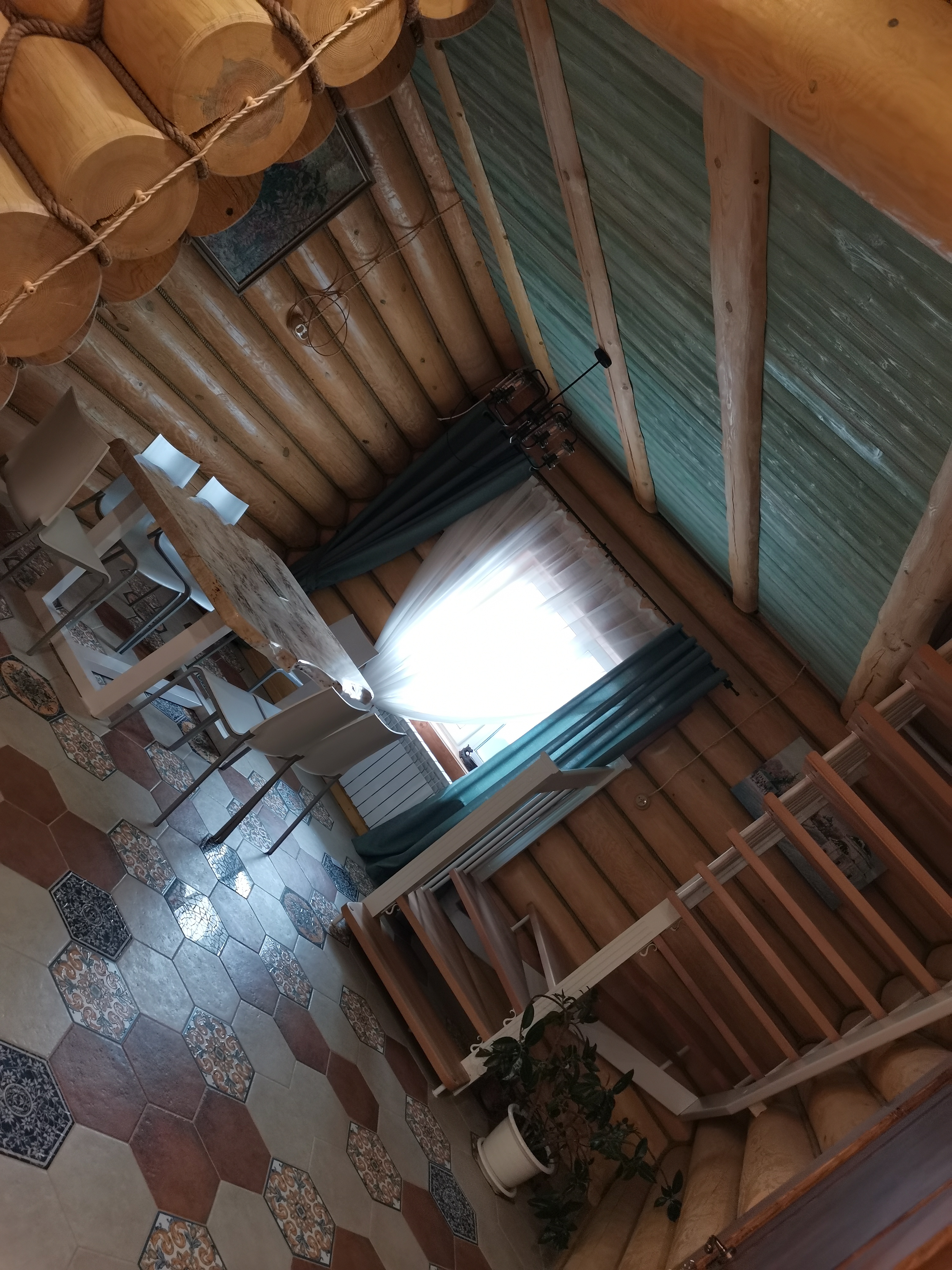 Фото Медоед