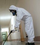 Artemida (Severniy Administrative Okrug, Begovoy District, Nizhnyaya Street, 14с1), disinfection, disinsection, deratization