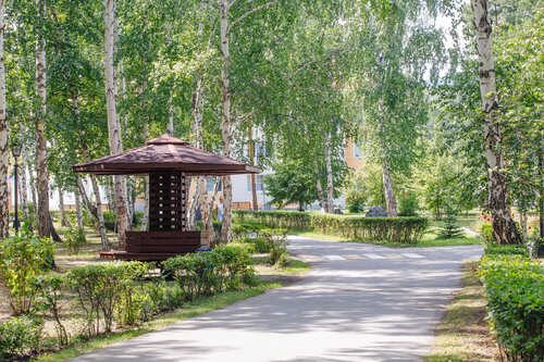 Санаторий Юбилейный в Зелёной Поляне
