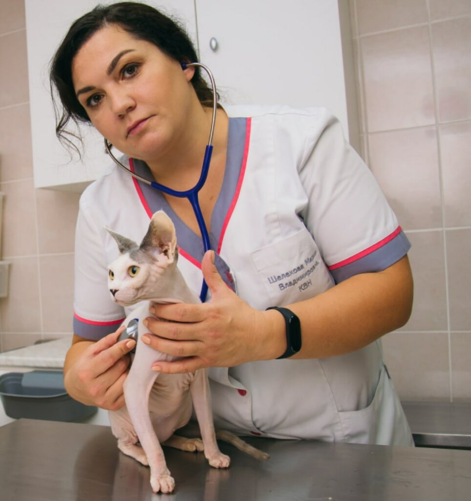 Veterinary clinic Veterinarnaya klinika doktora Shelekhovoy M. V., Chelyabinsk, photo