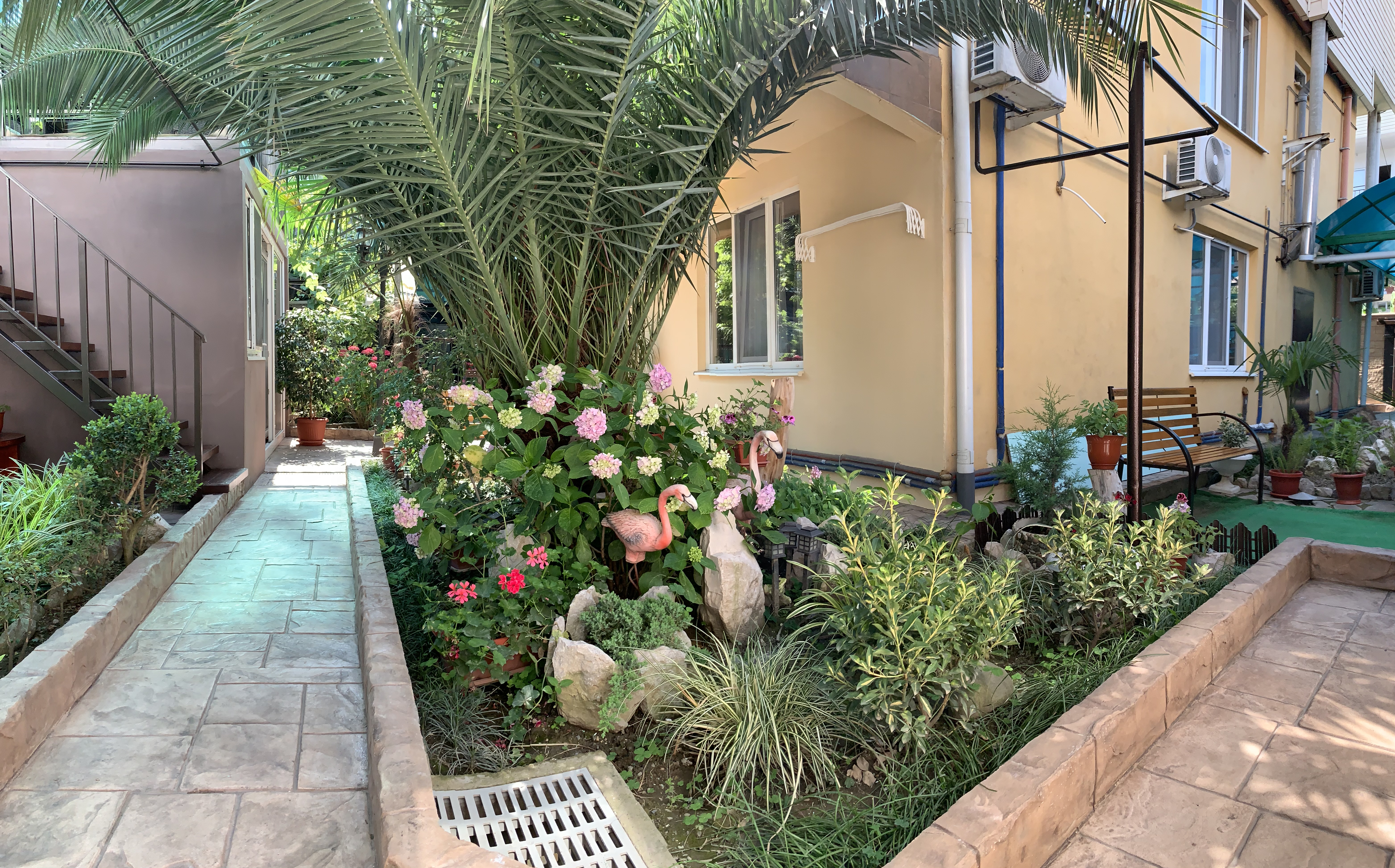 Фото АнжеликА