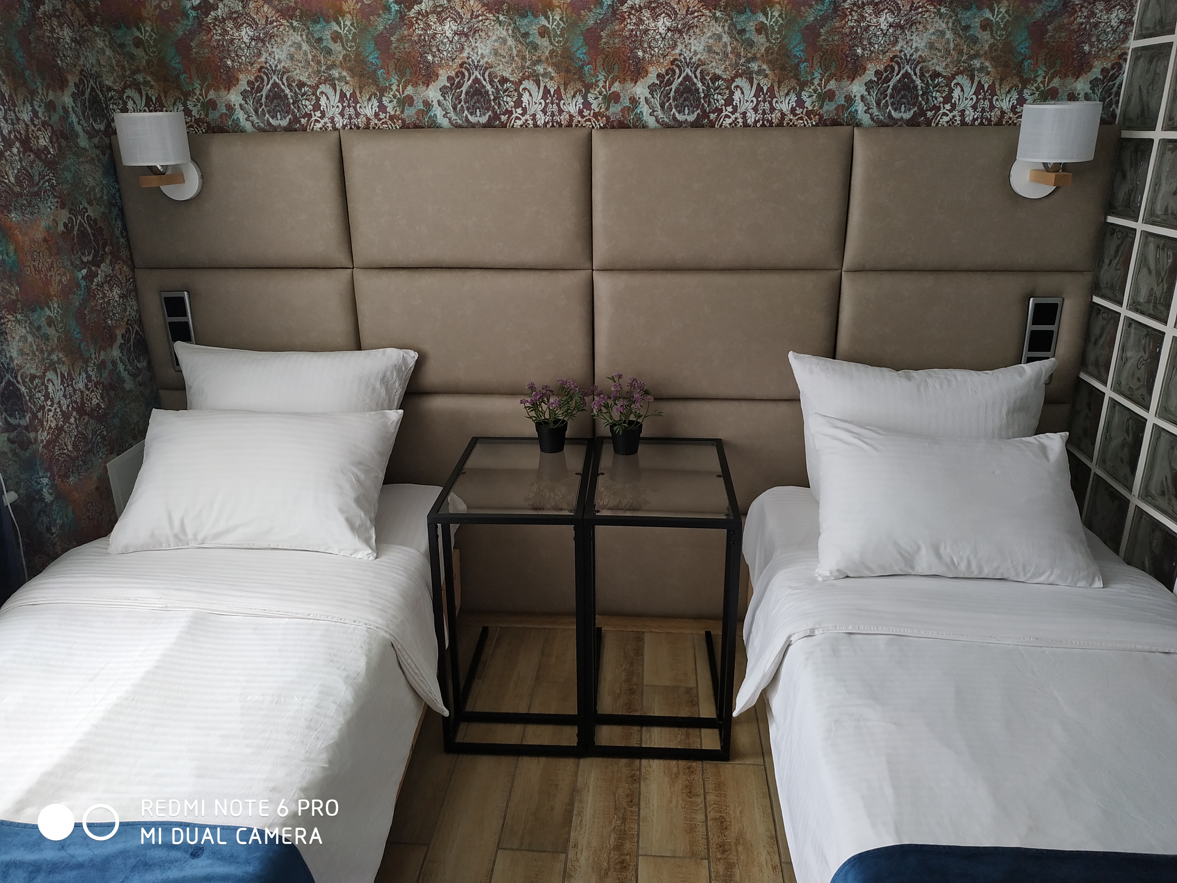 Фото Барбарис