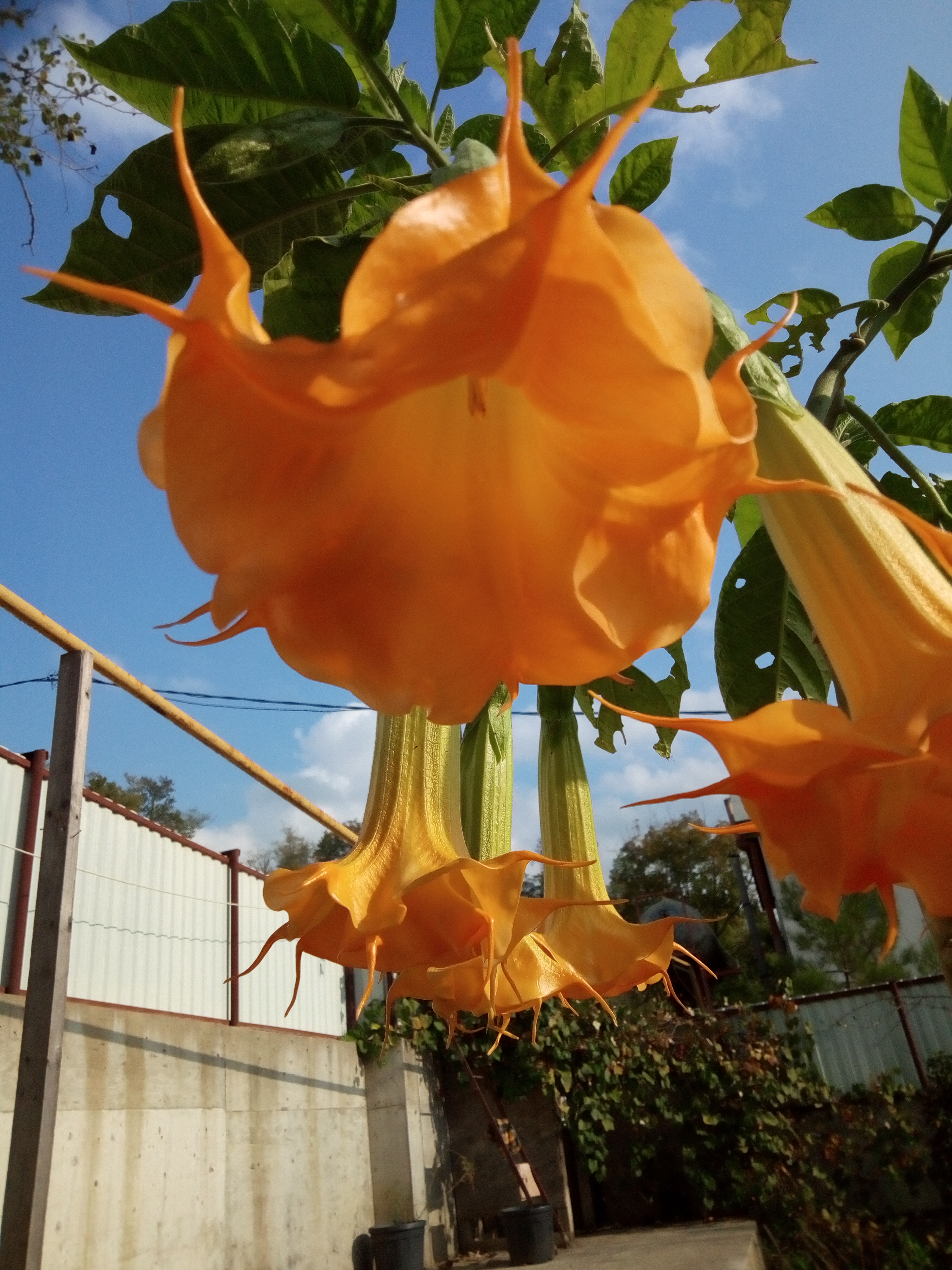 Фото Загородный дом на Мацесте