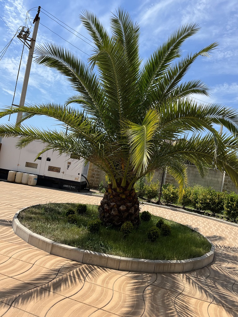 Фото Золотой Якорь