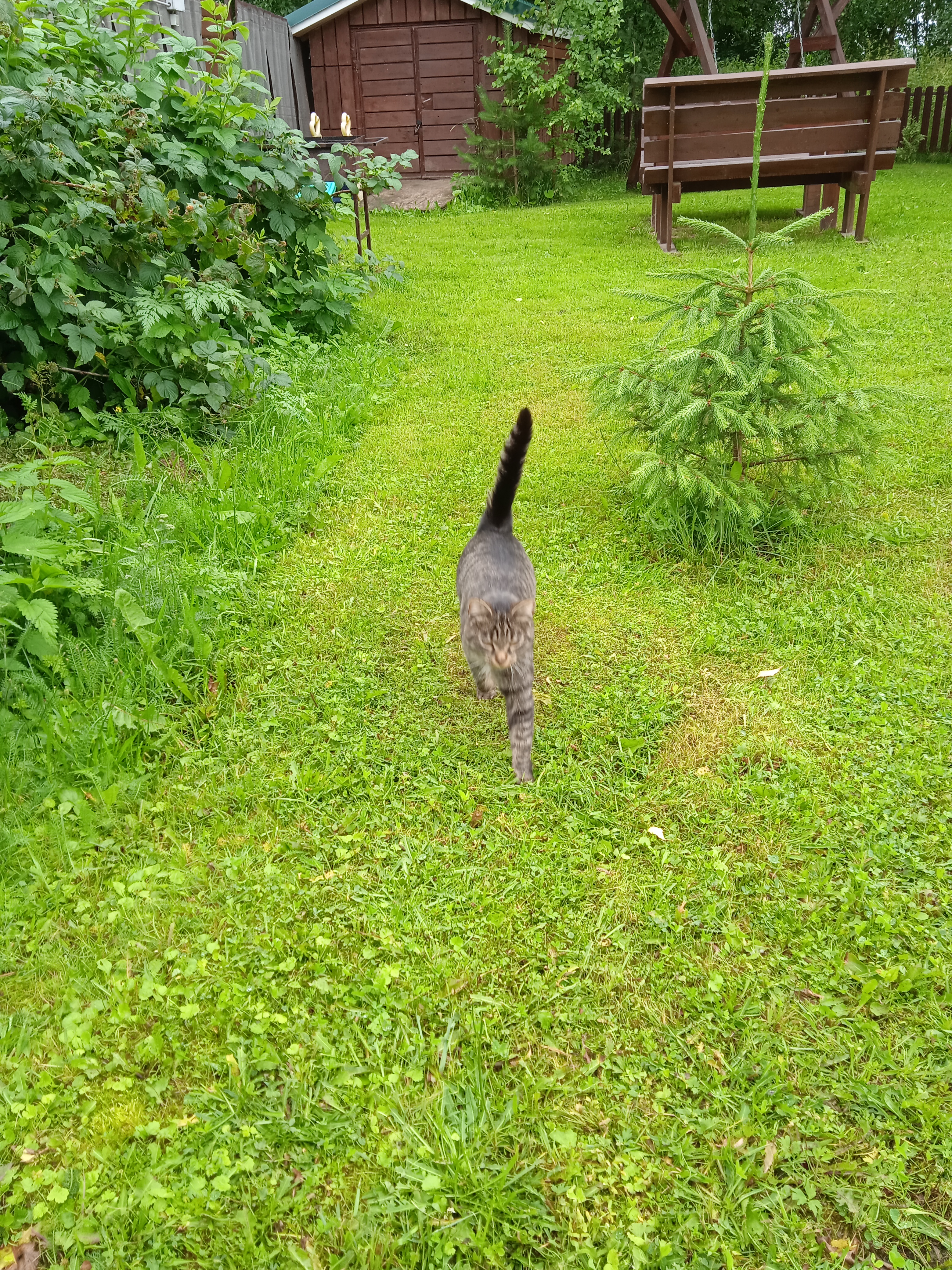 Фото Домик в Марфино