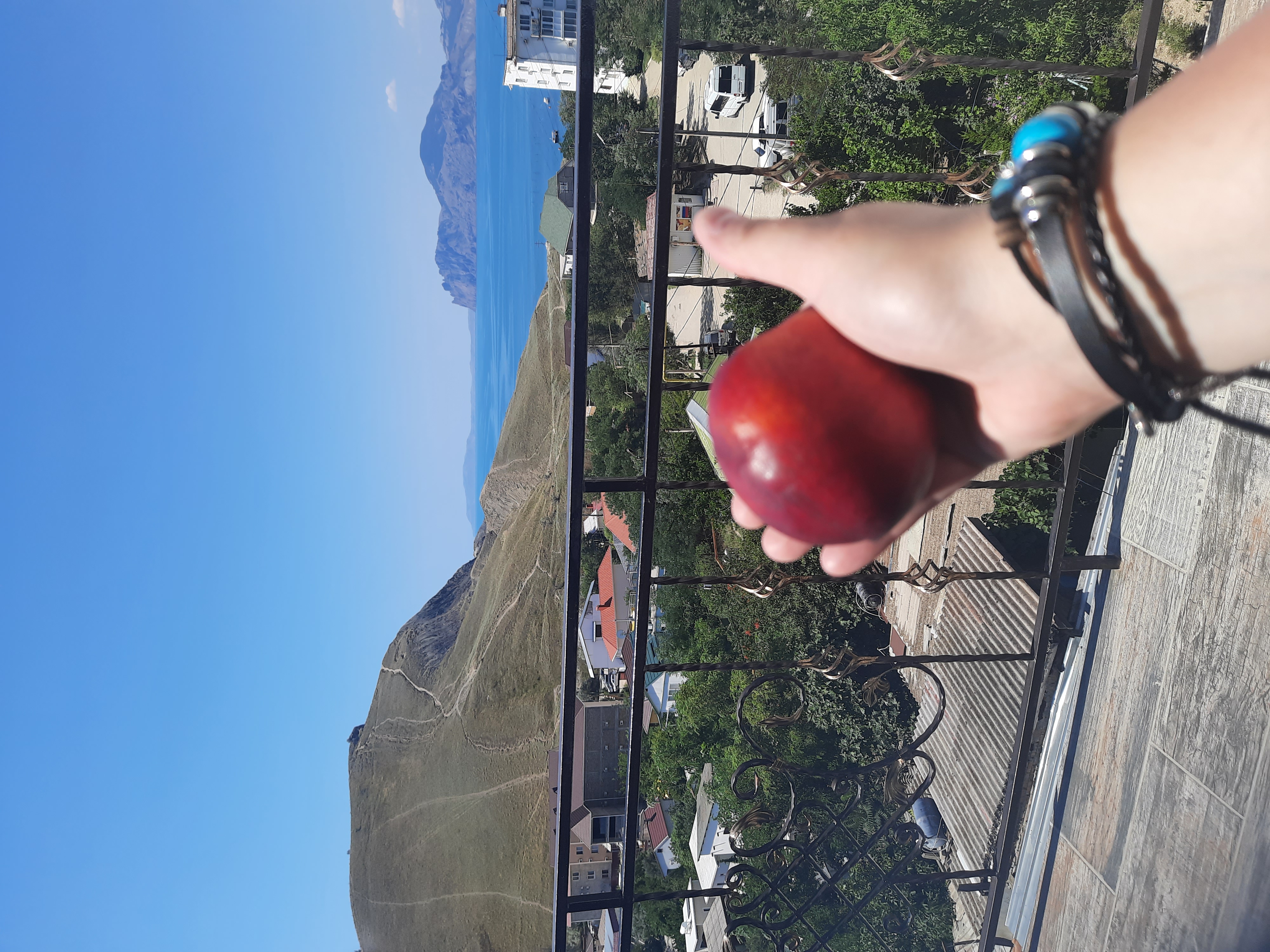 Фото Белый лебедь