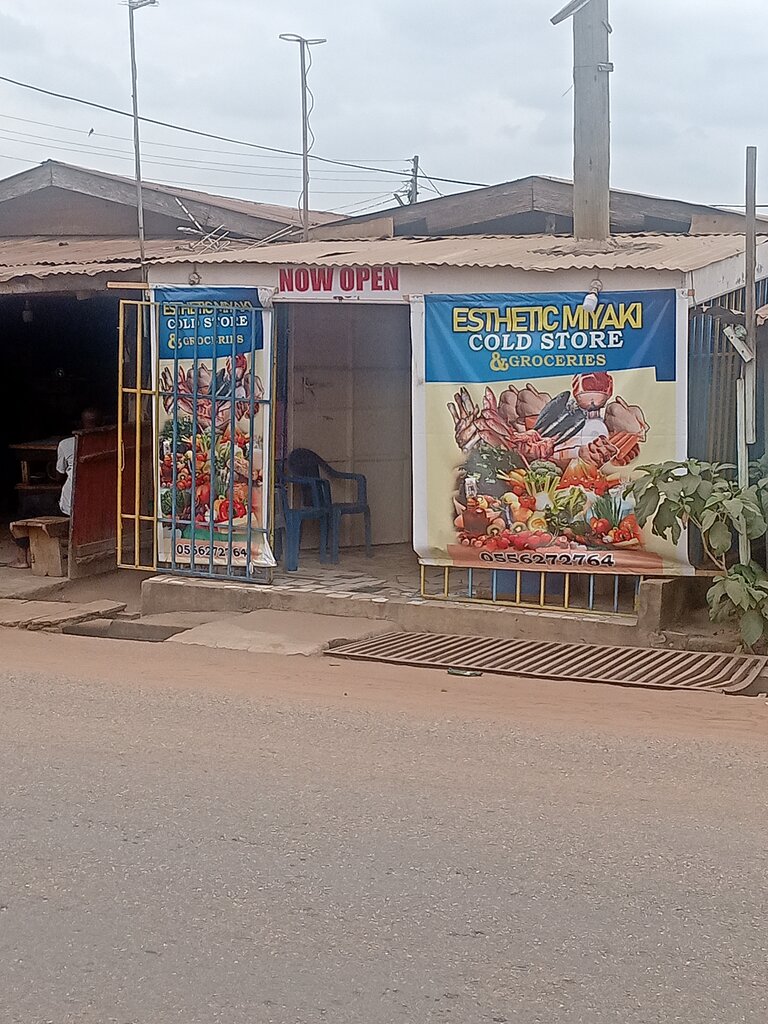 Grocery Esthetic miyaki cold store, Earth, photo