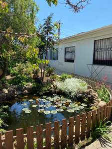 Звёздная Тишина