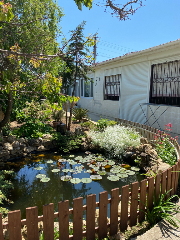 Фото Звёздная Тишина