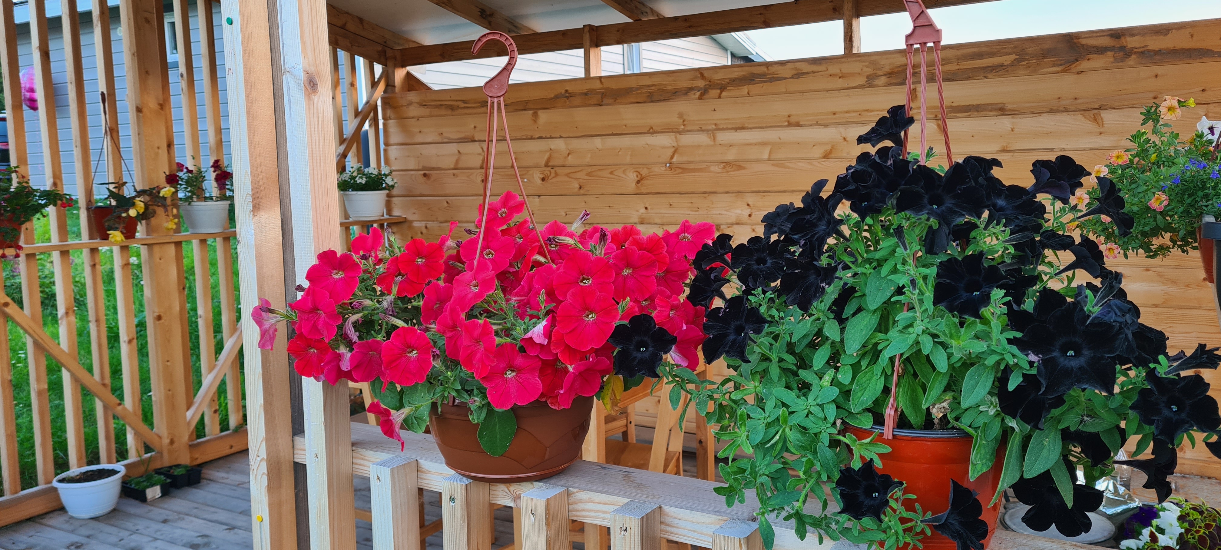 Фото Домик у Игоры