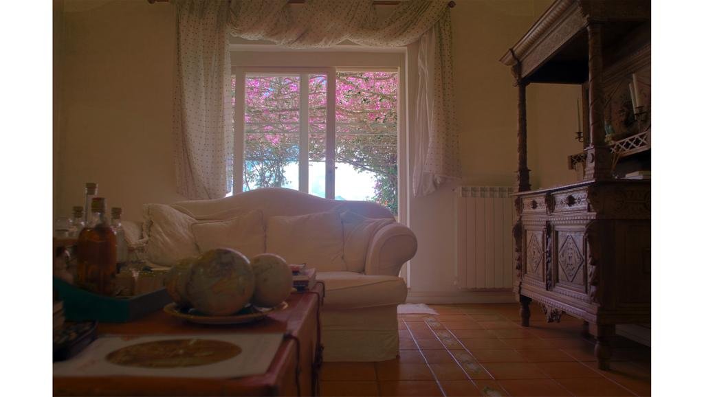 Фото La Bouganville