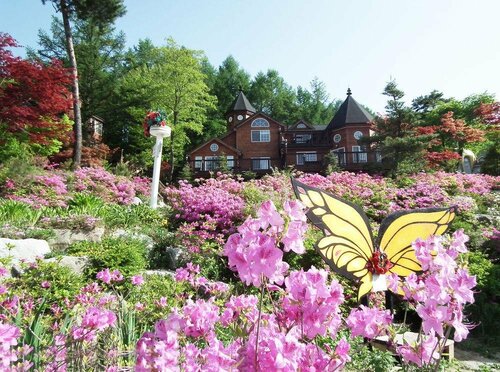Гостиница Pyeongchang Forest Hotel