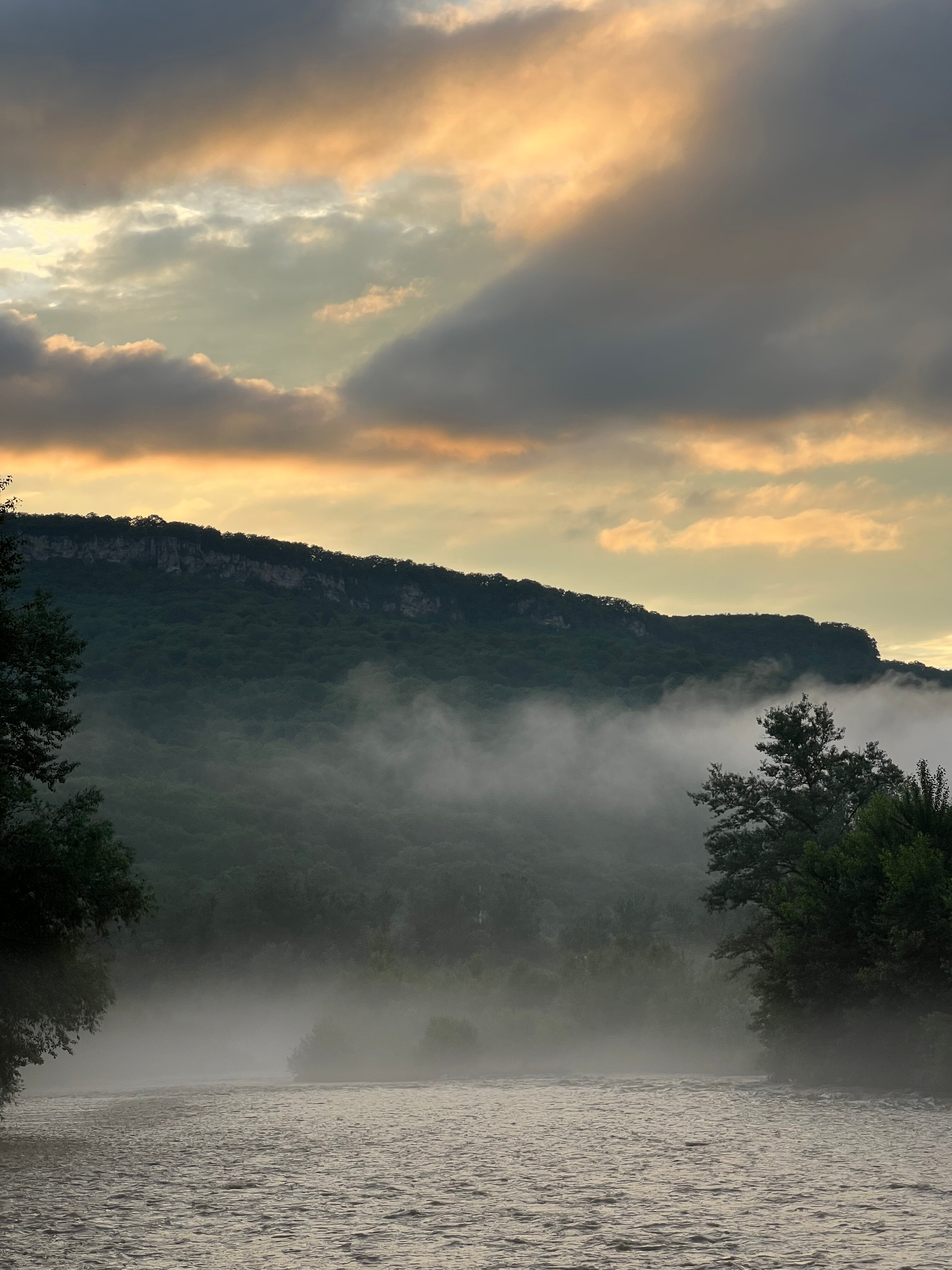 Фото Денница