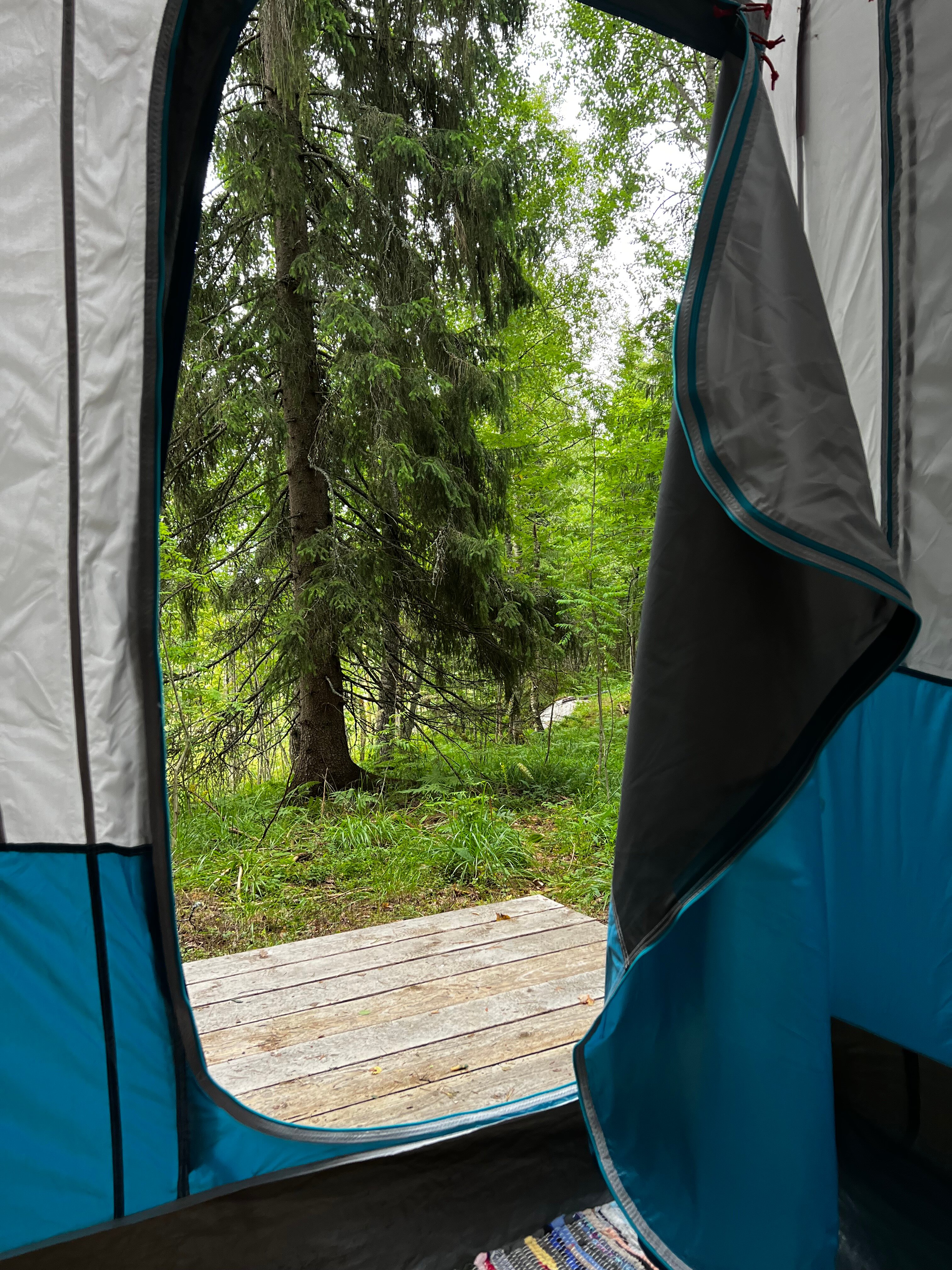 Фото Котопельто