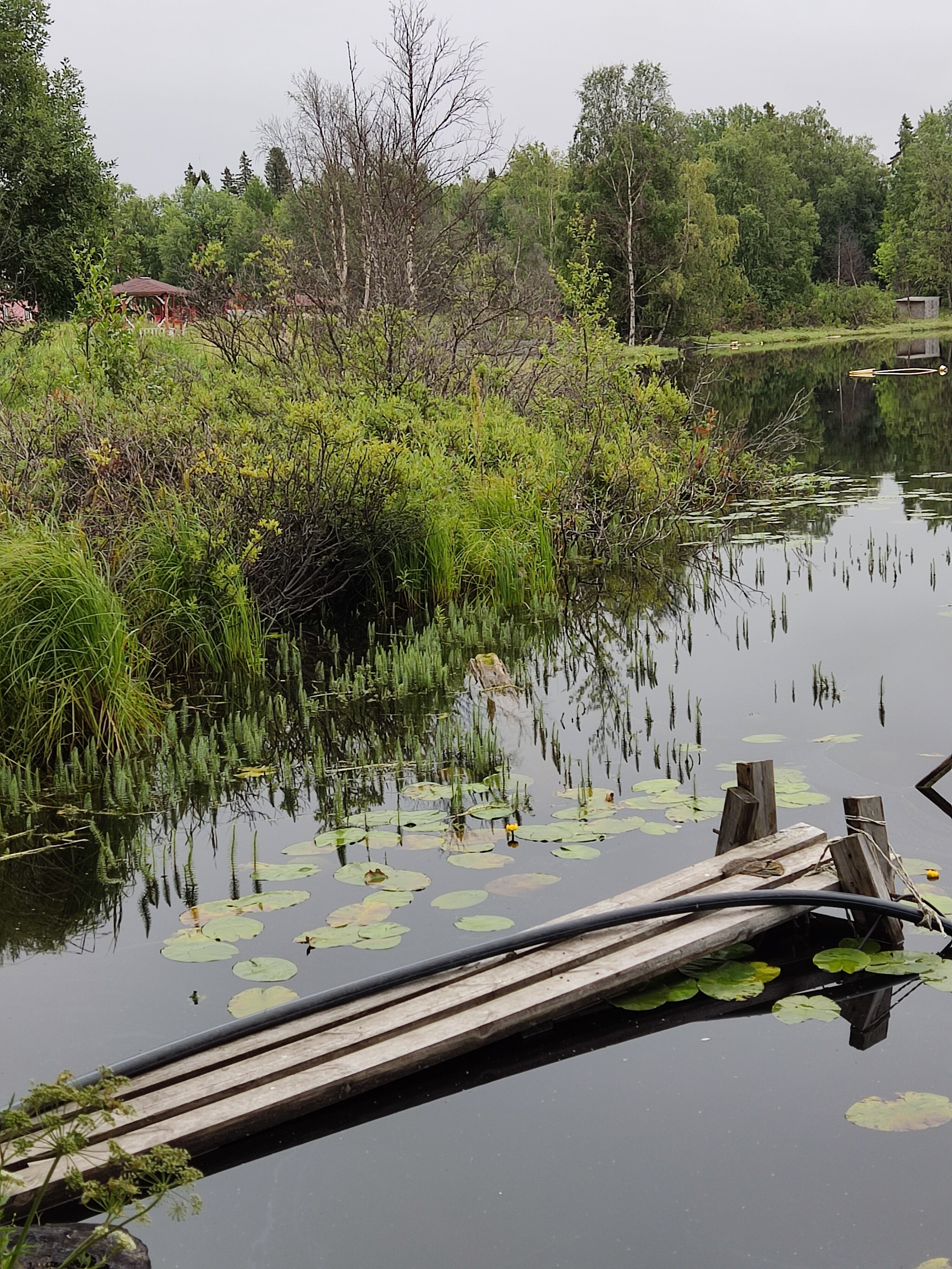 Фото Хутор Варяжский