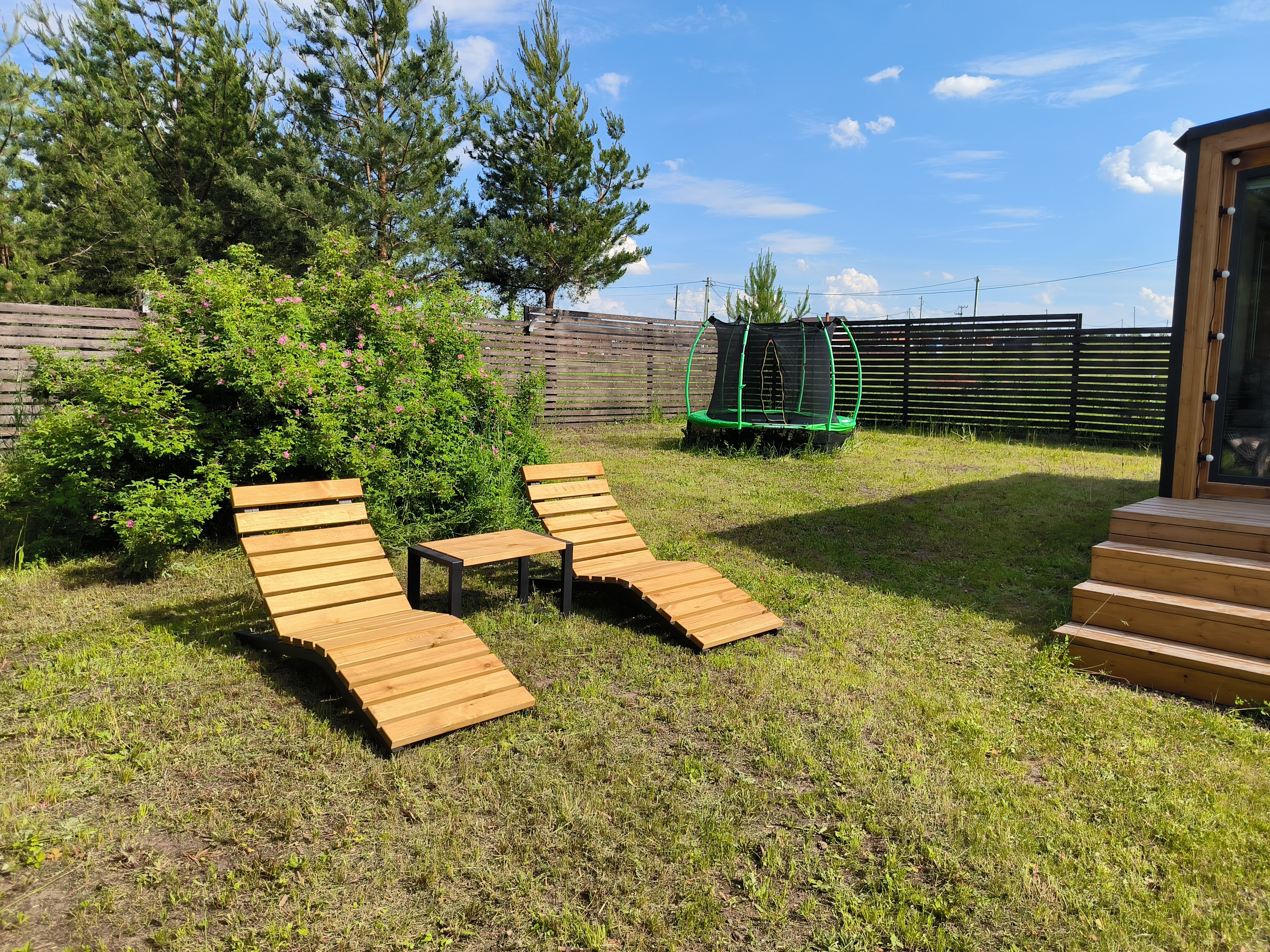 Фото На опушке