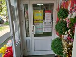 Magazin puteshestvy, Turagentstvo (ulitsa Stepana Khalturina, 16), agencia de viajes