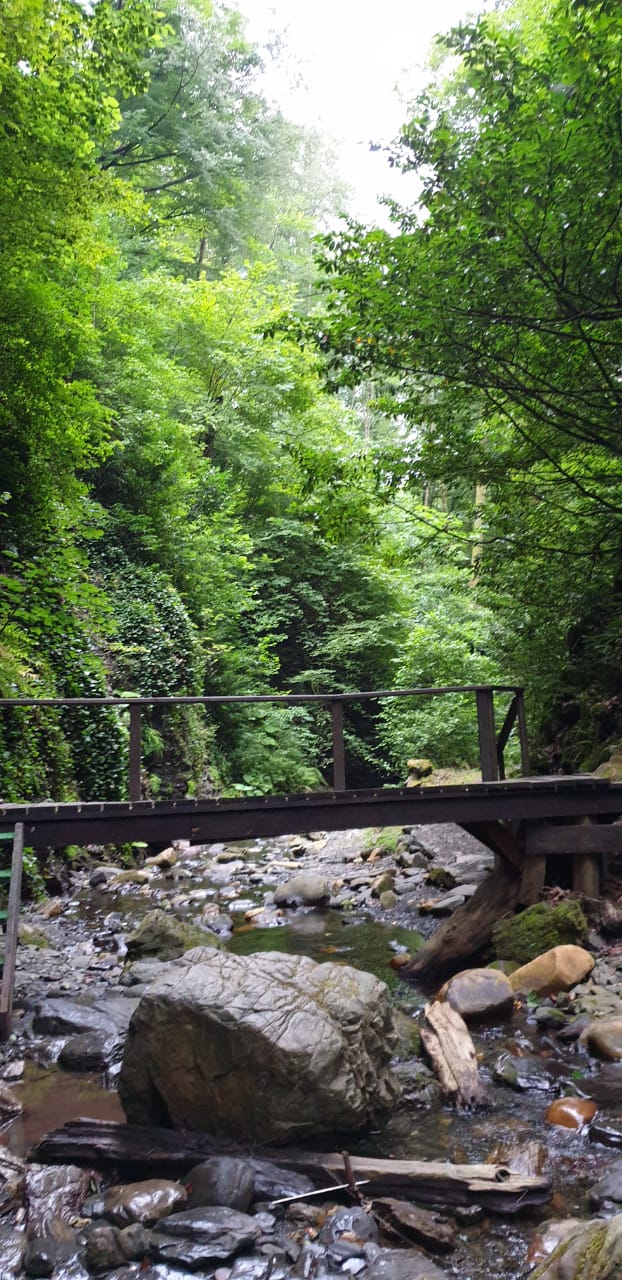 Фото Загородный дом на Мацесте