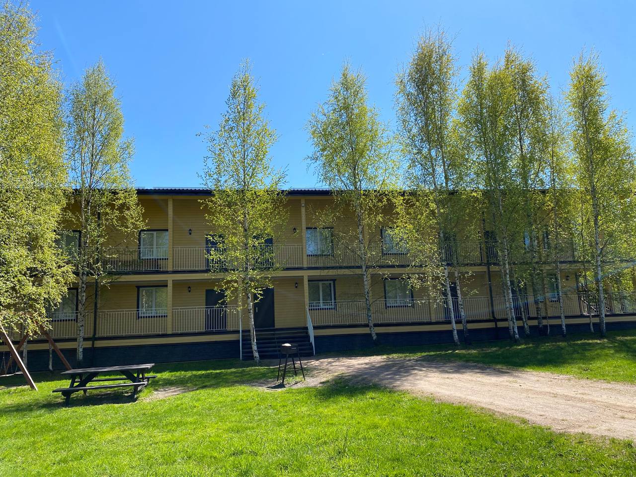 Фото Березки