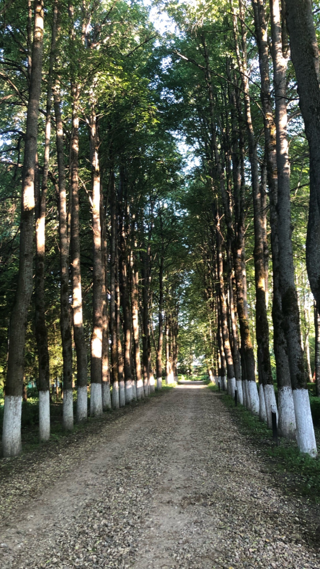 Фото Абрамцево