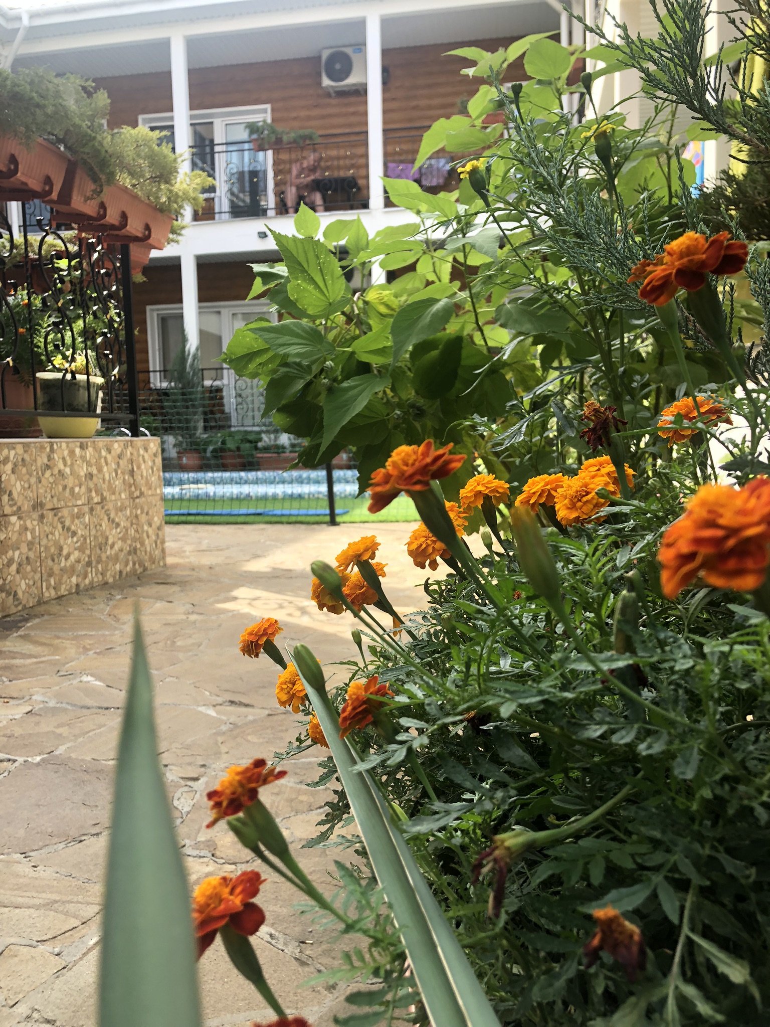 Фото Елизавета