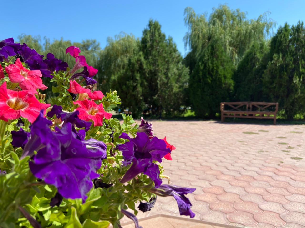 Фото Авалон