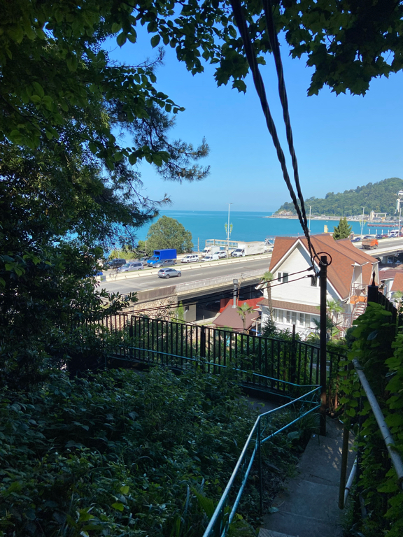 Фото Панорама Хоста