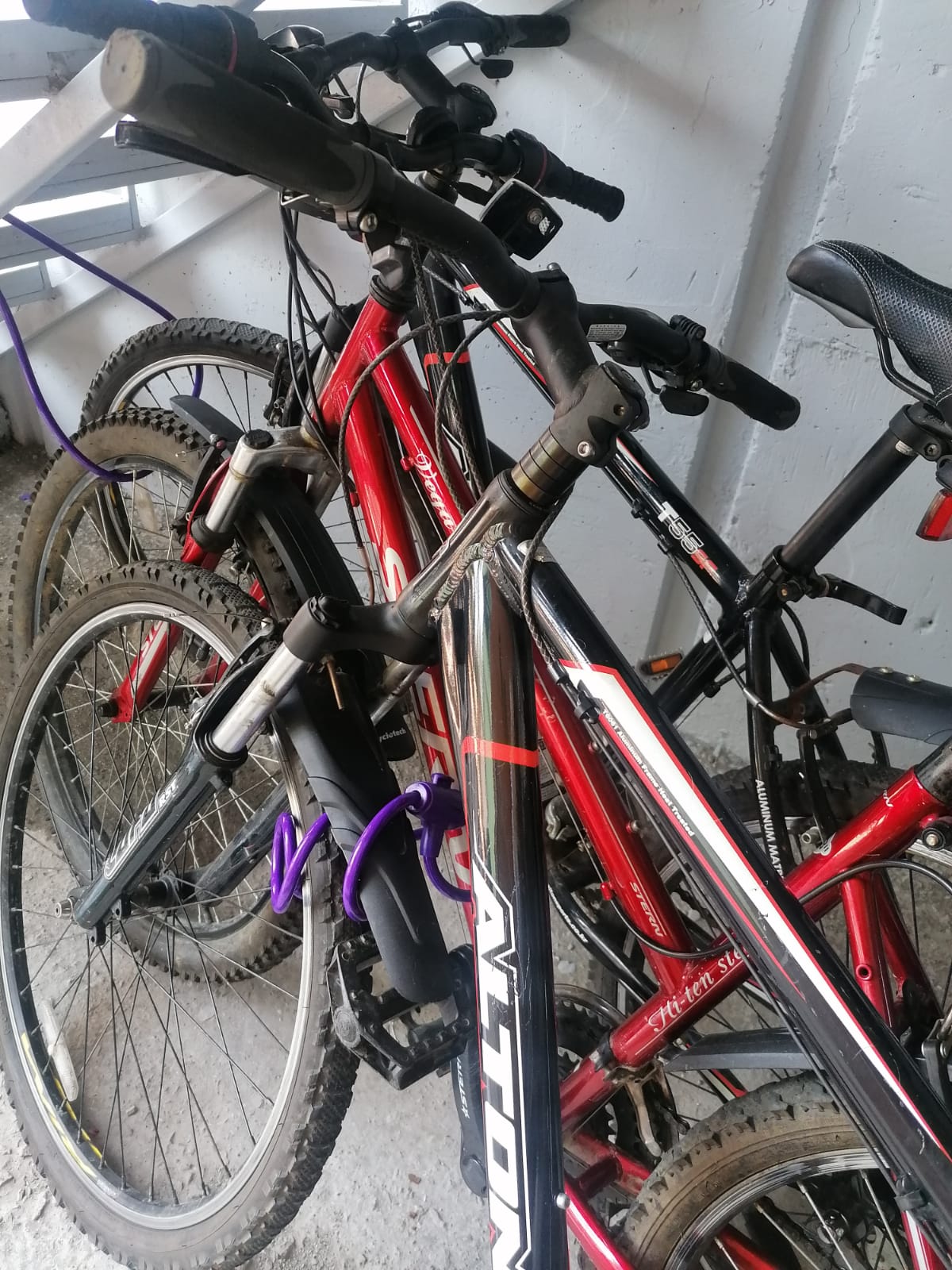 Фото Новая Заря