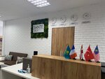 Sante Group (Tole Bi Street, 101), pharmaceutical company