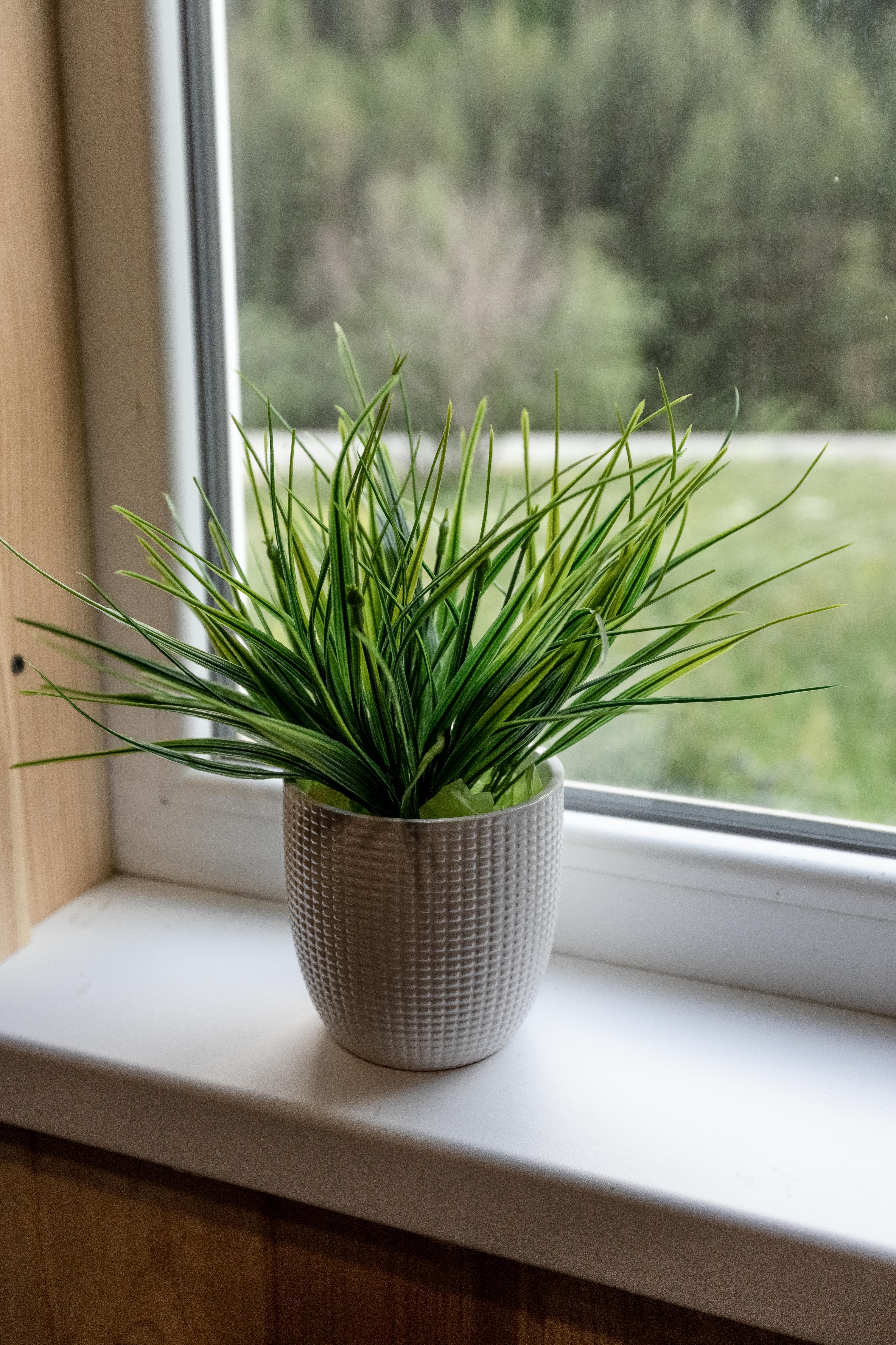 Фото Family club