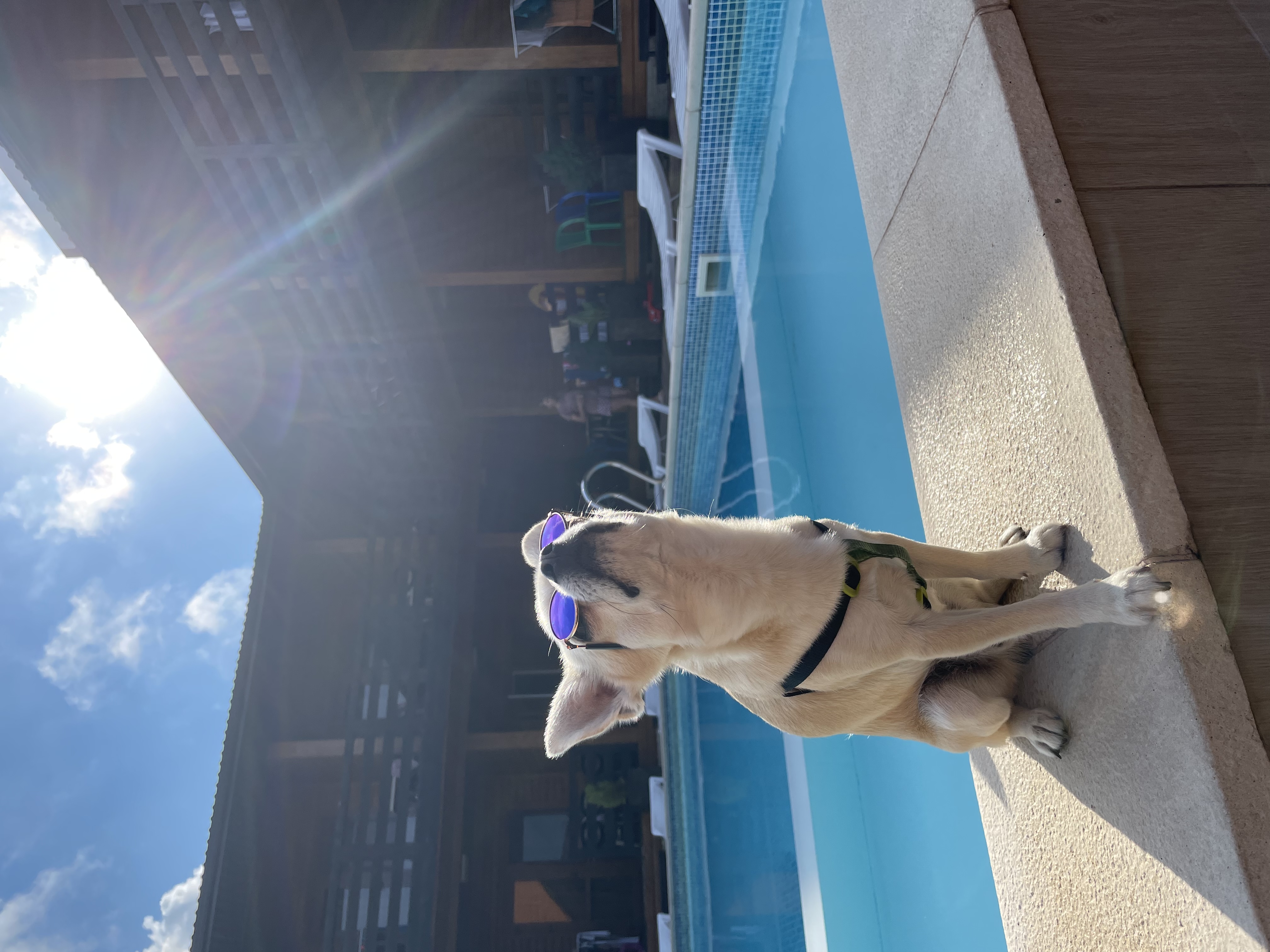 Фото Вилла на песке