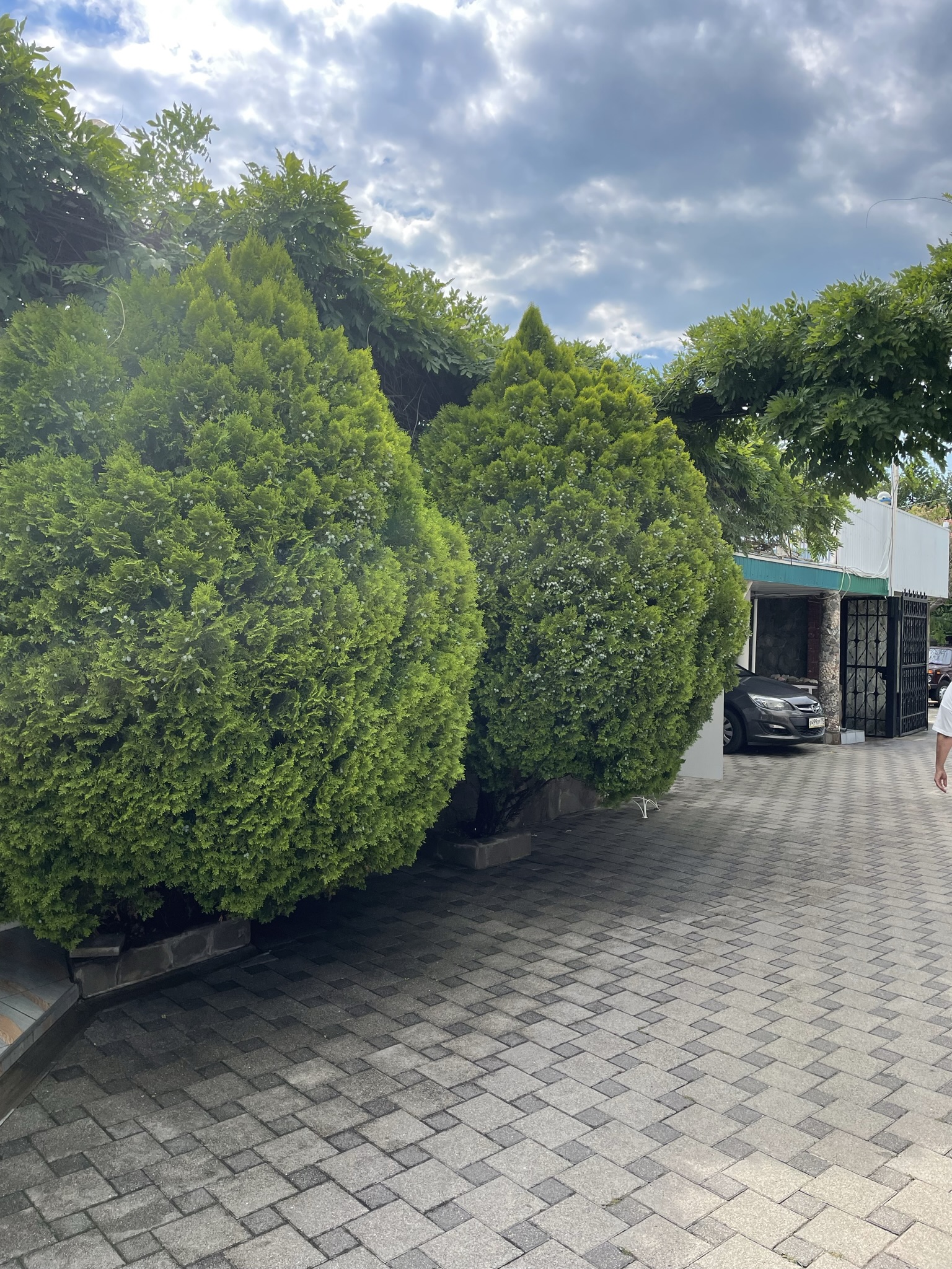 Фото Кругозор