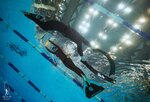 Глубина (Lenina Street, 57), diving