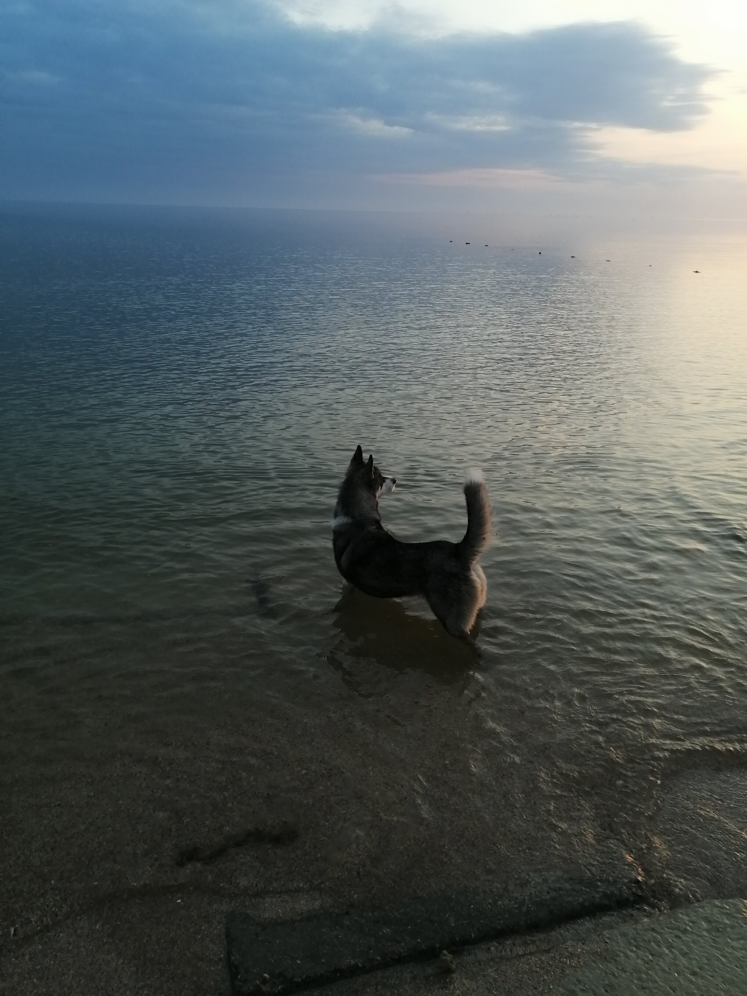 Фото Лазурный