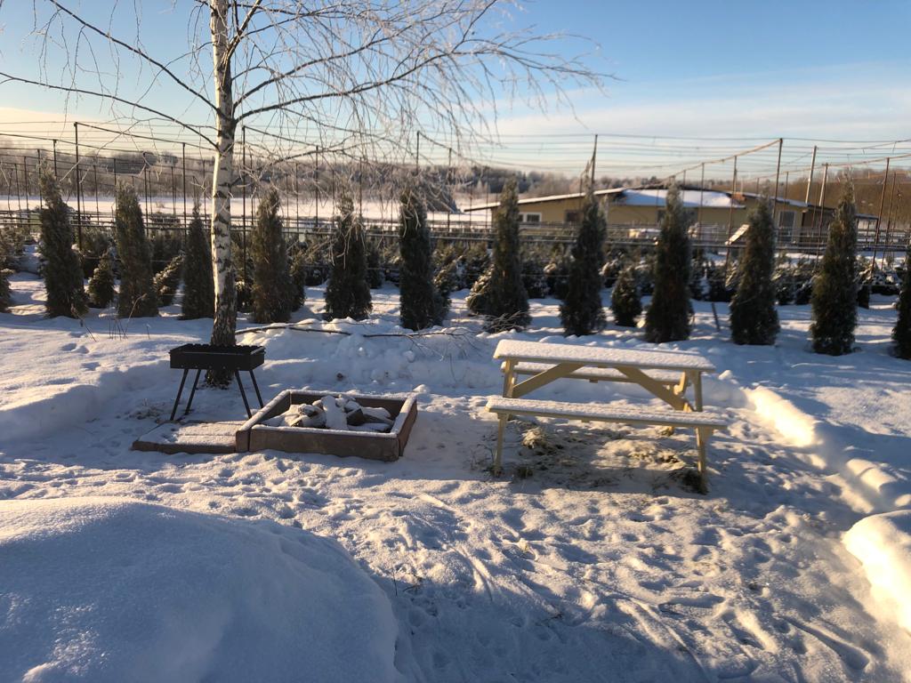 Фото Усадьба Маруся