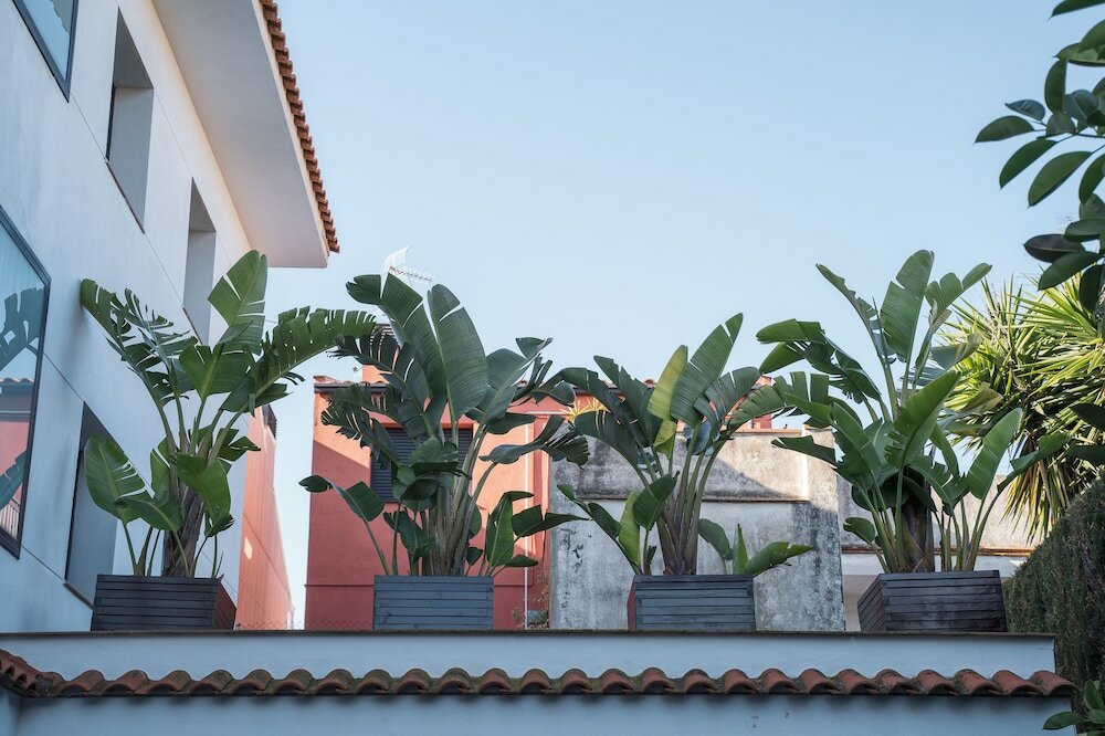 Фото Beatrix 2000 - Caliu apartments