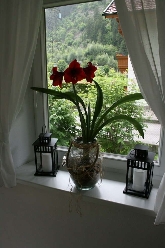 Фото Apartments Rosenhof