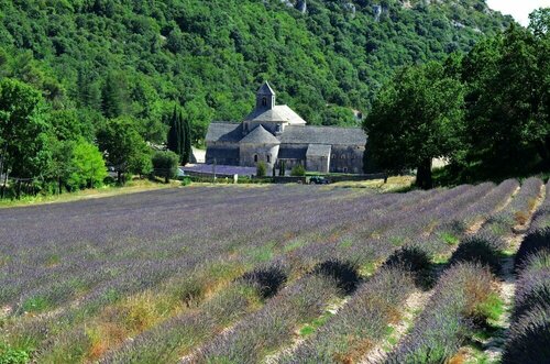 Гостиница Bastide Des Lavandieres в Апте