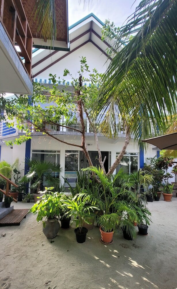 Фото Palm Residence