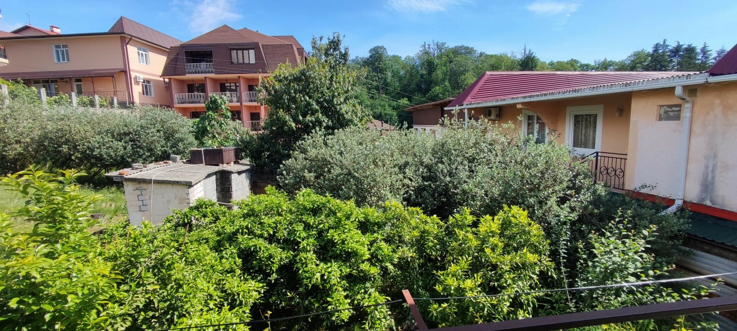 Фото Эвелина