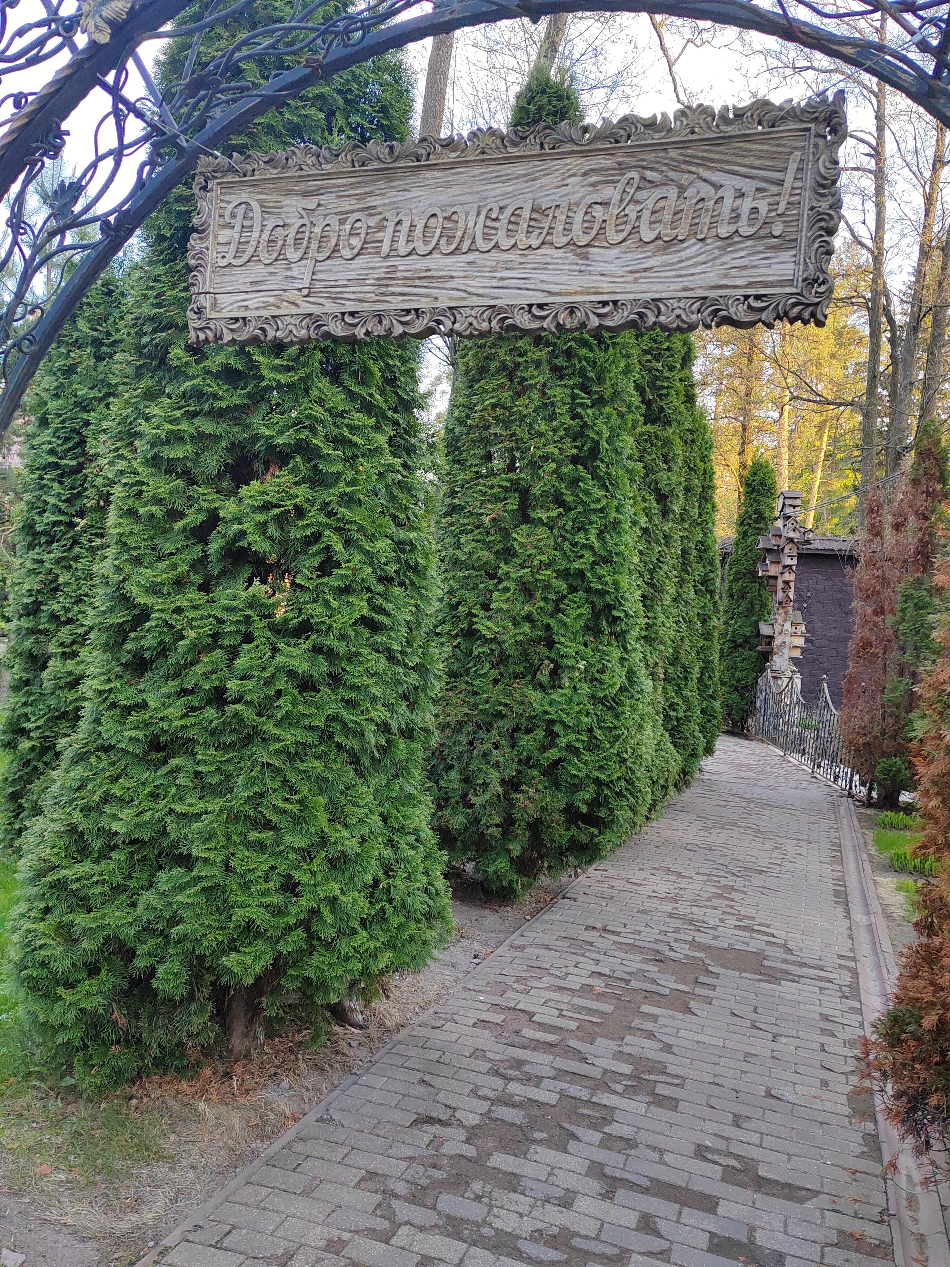 Фото Тихая заводь