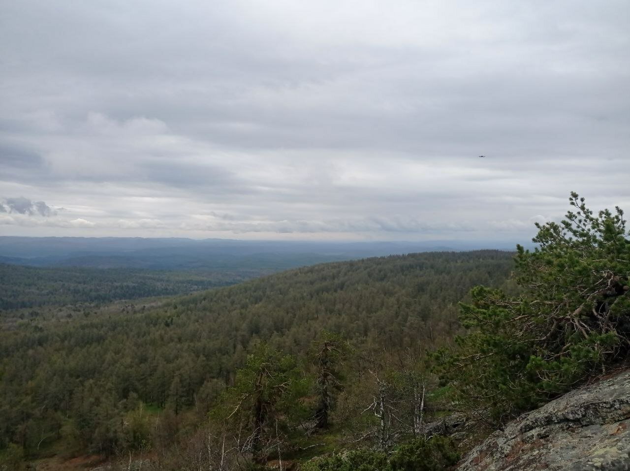 Фото Пилигрим